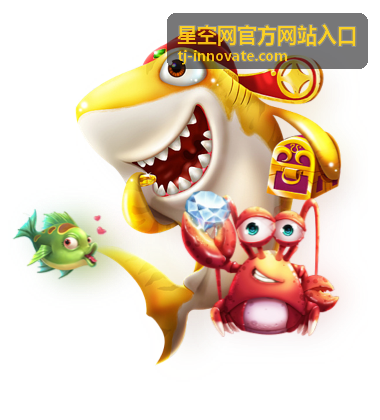观测者
