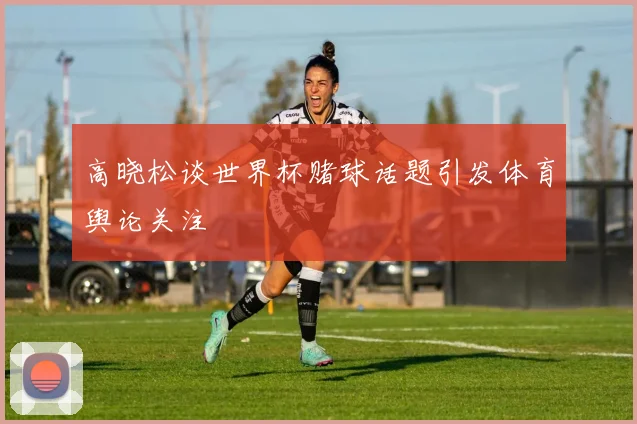 高晓松谈世界杯赌球话题引发体育舆论关注
